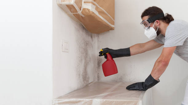 Attic Mold Remediation treatment on roof deck in Sewaren